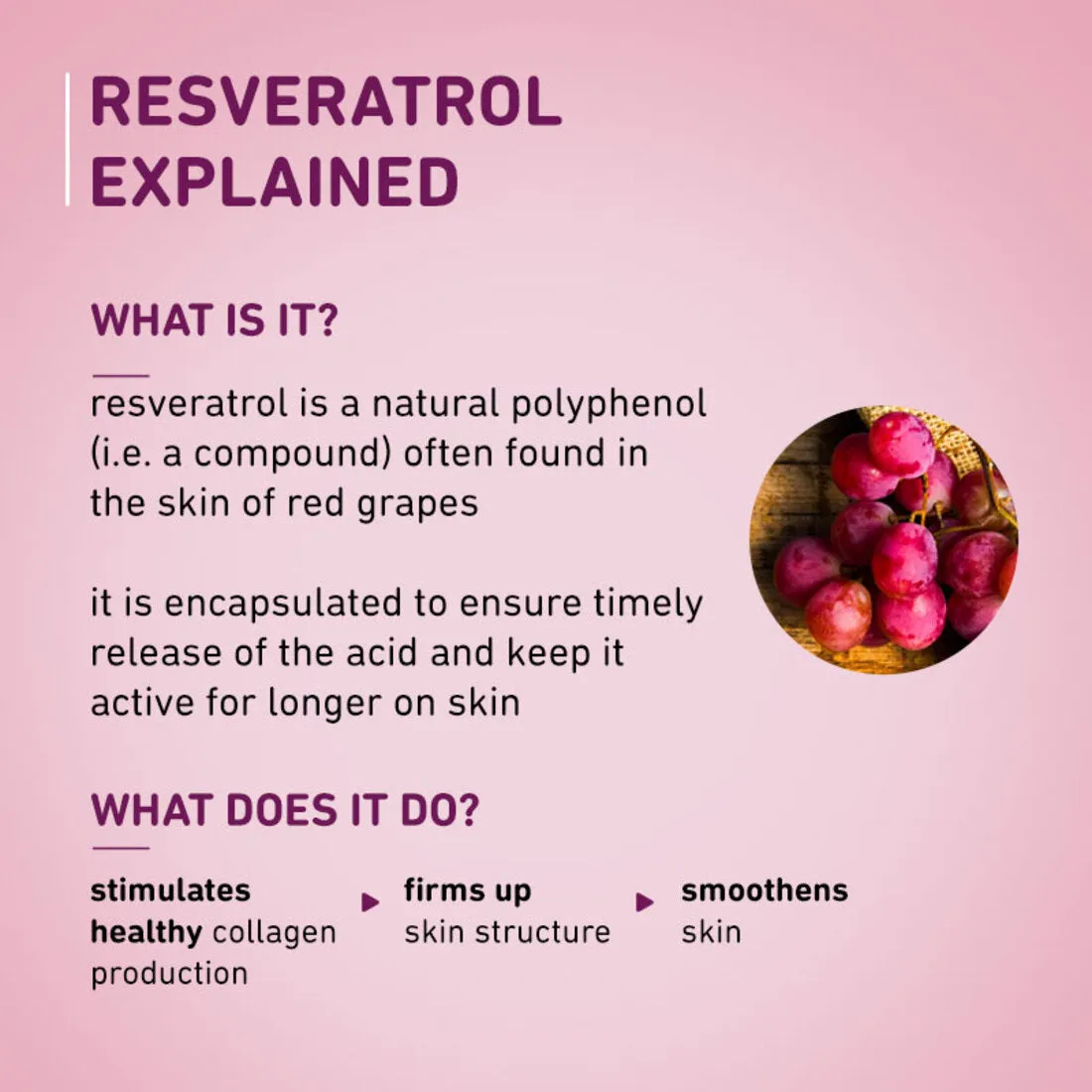 1% Encapsulated Resveratrol & 7.5% Vitamin C Face Serum