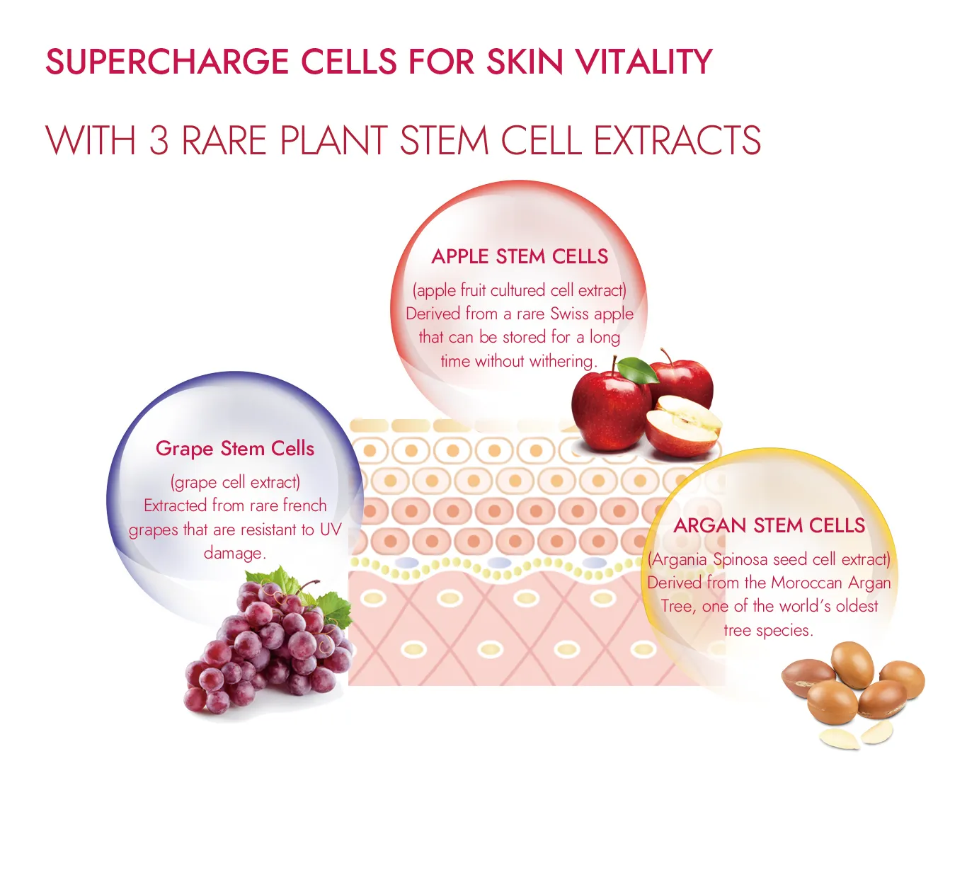 Cleansing Gel