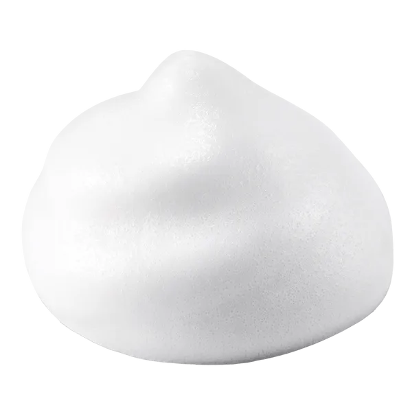 Real Fresh Foam Cleanser Green Tea 160g