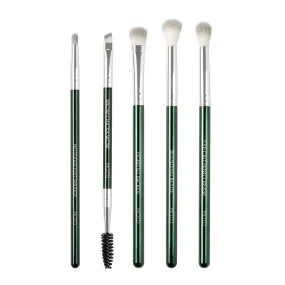 Starter Eye Makeup Brush Set