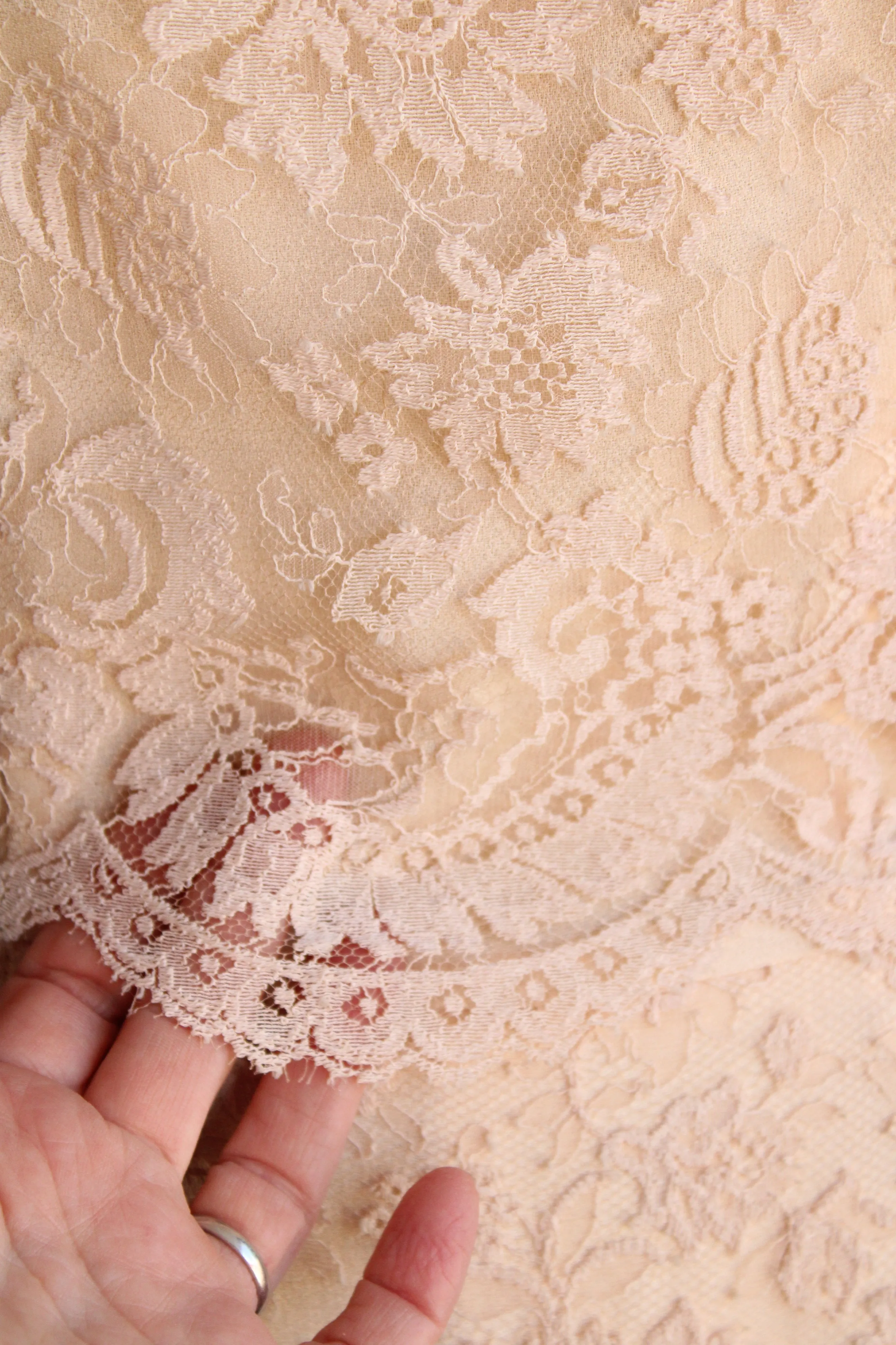 Vintage 1960s Blush Illusion Lace Dress
